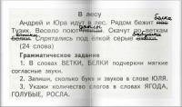 Фото идеи смешной диктант для обучение/развитие на сайте IdeasMaker, картинка идеи смешной диктант для обучение/развитие на сайте IdeasMaker