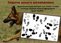 Фото идеи игра "задача юного разведчика" для обучение/развитие на сайте IdeasMaker, картинка идеи игра "задача юного разведчика" для обучение/развитие на сайте IdeasMaker