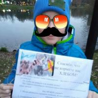 Фото идеи идея экологического проекта по правильному кормлению уток для обучение/развитие на сайте IdeasMaker, картинка идеи идея экологического проекта по правильному кормлению уток для обучение/развитие на сайте IdeasMaker