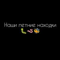 Фото идеи летний проект для детей "определи насекомое" для обучение/развитие на сайте IdeasMaker, картинка идеи летний проект для детей "определи насекомое" для обучение/развитие на сайте IdeasMaker