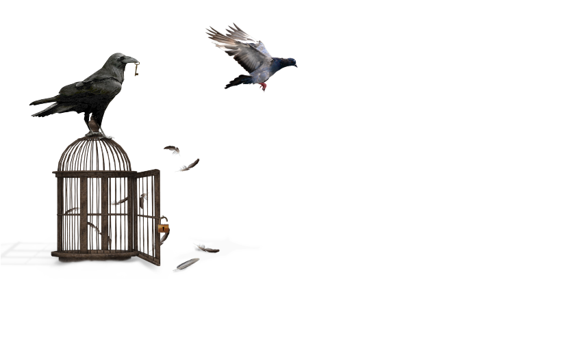 Новые идеи